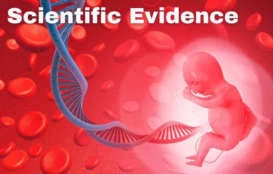 1st Week of Garbh Sanskar